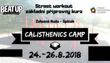 Street workout základní přípravný kurz - sportovní kemp