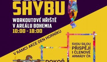 Světový den shybů